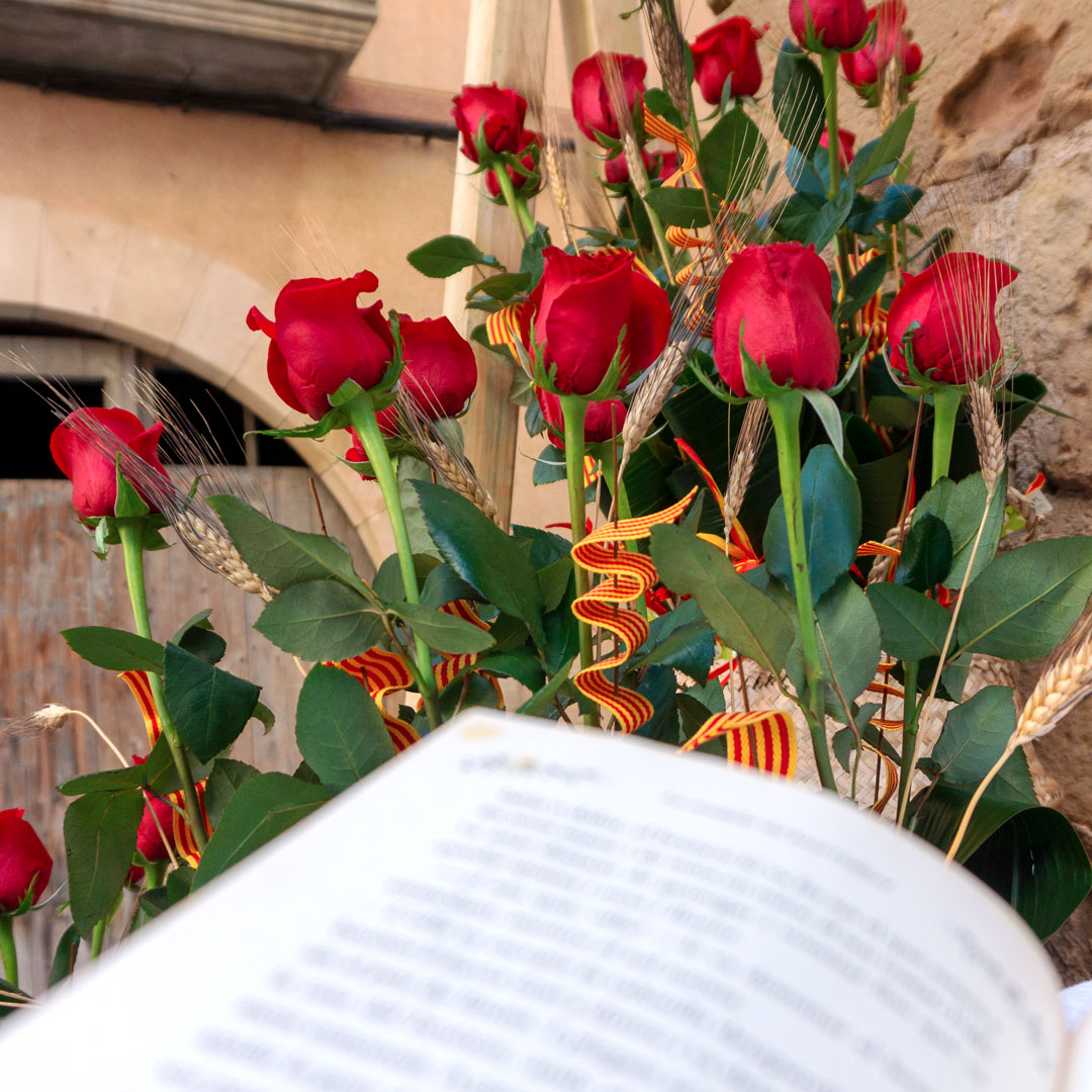 Roses de sant Jordi i llibre