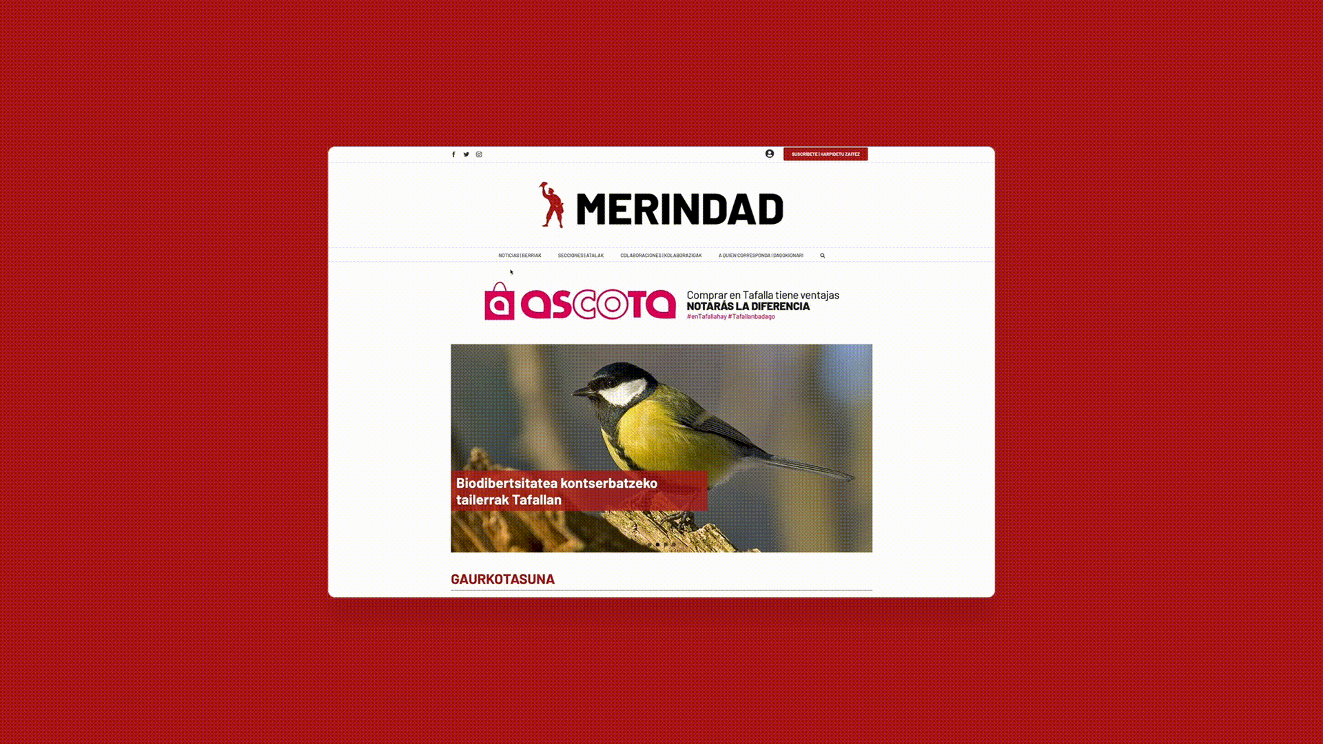 Vista en format gif de la pàgina web de La Voz de la Merindad