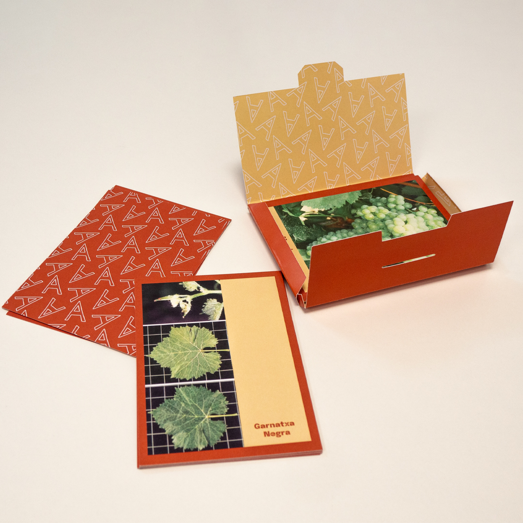 Joc Memory amb fulles de ceps i la caixa que conté tot el material sobre un fons blanc